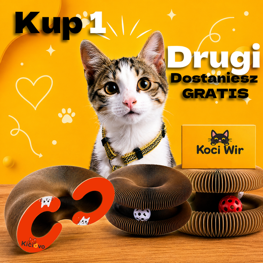 Koci Wir