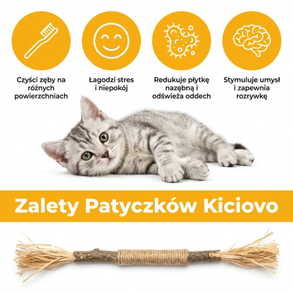 Kiciovo Naturalne Patyczki Dentystyczne z Aktinidii